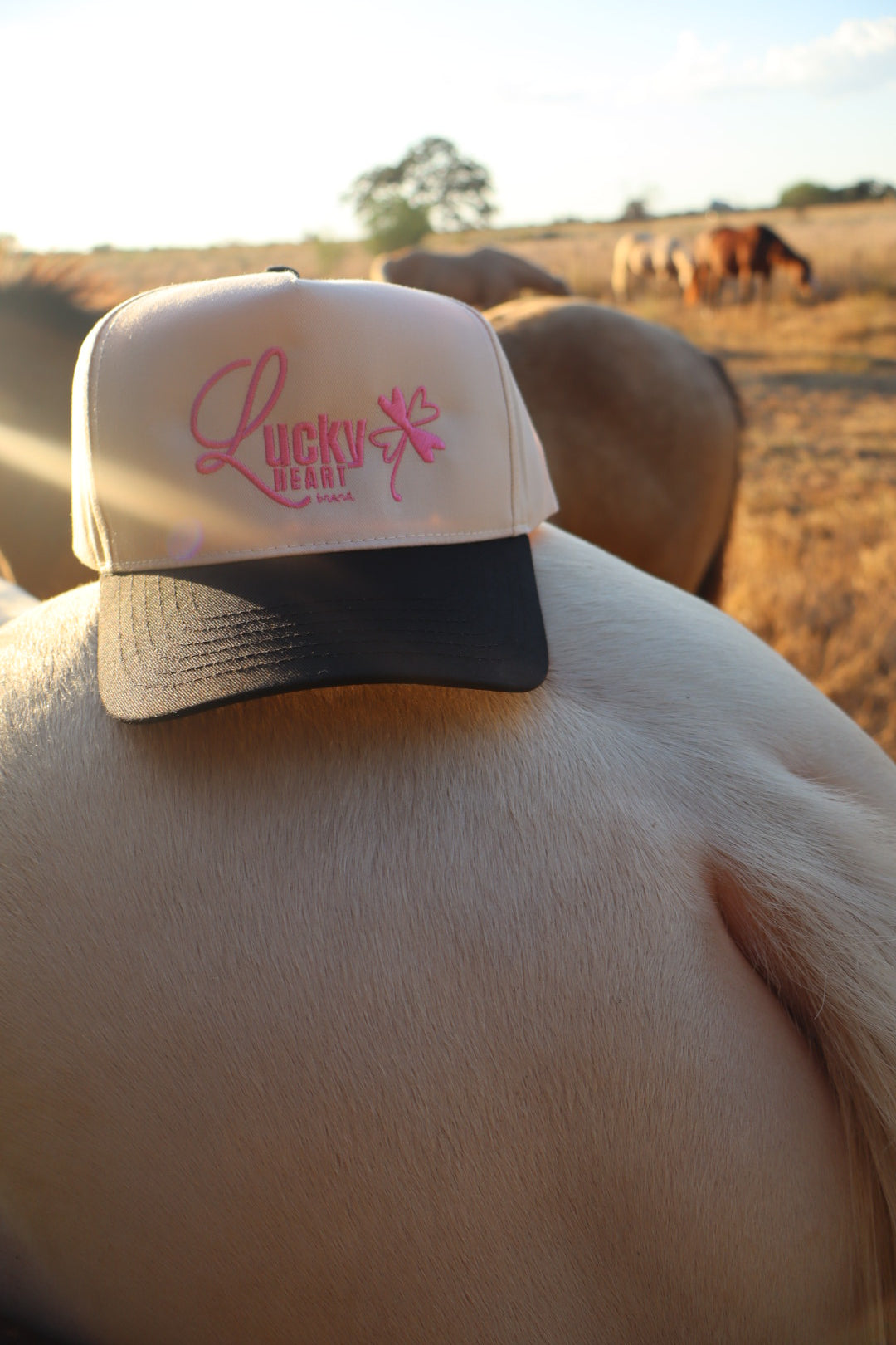 Lucky Heart Cap - Black